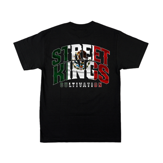 Mexico T-Shirt