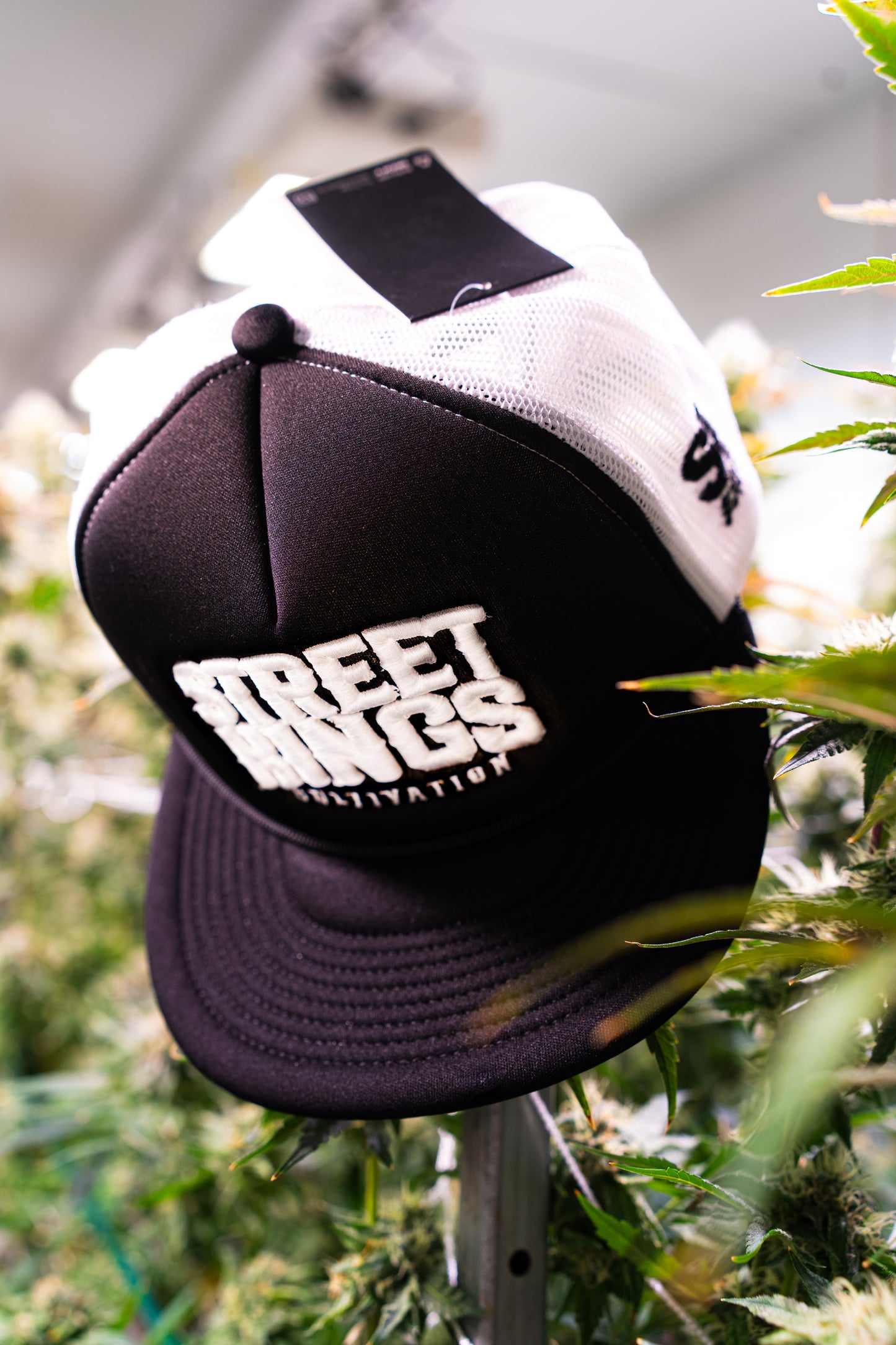 Embroidered Trucker Hat