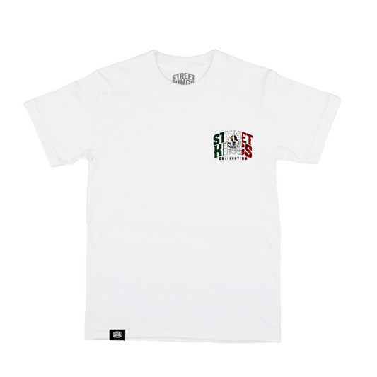 Mexico T-Shirt (White)